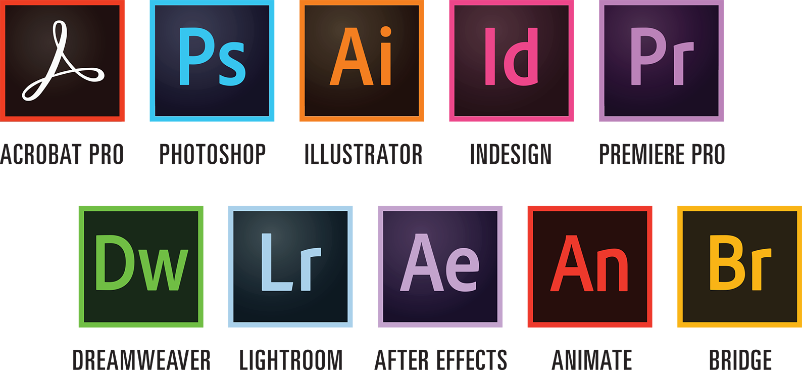 adobe products